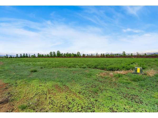 1634 Hauck Meadows, Frederick, CO 80504