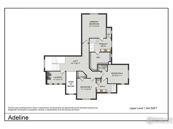 5836 Gianna, Timnath, CO 80547