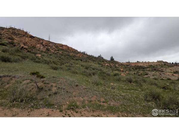 1191 Eiger, Livermore, CO 80536