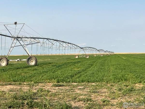 10 PP, Seibert, CO 80834