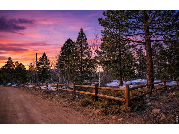 815 Cougar, Nederland, CO 80466