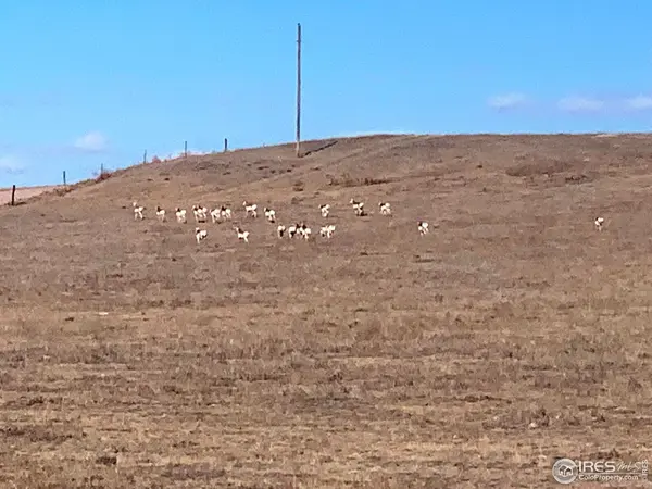 0 County Road 55, Ault, CO 80610