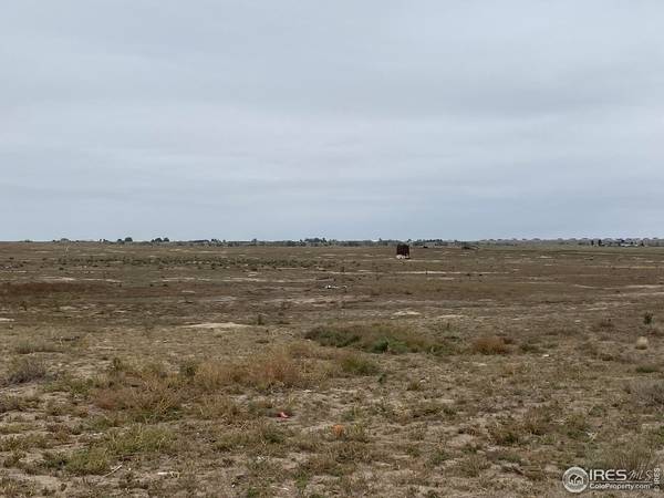 0 Hwy 52, Wiggins, CO 80654