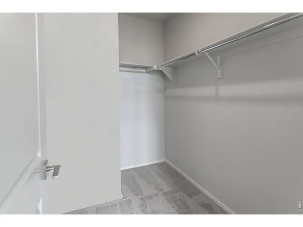 792 Chatter, Windsor, CO 80550