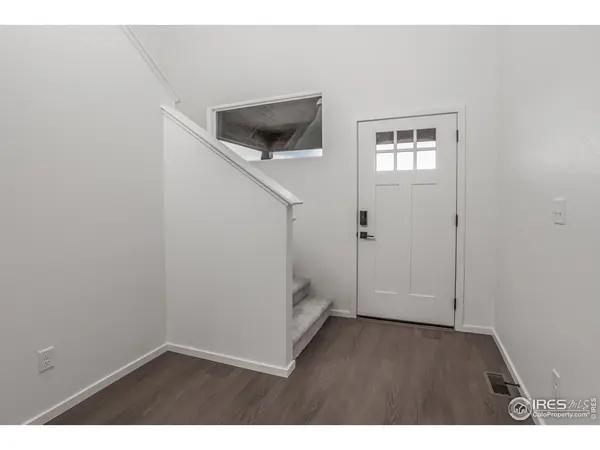 768 Chatter, Windsor, CO 80550