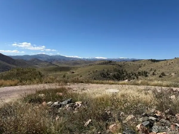 1049 Hewlett Gulch, Livermore, CO 80536