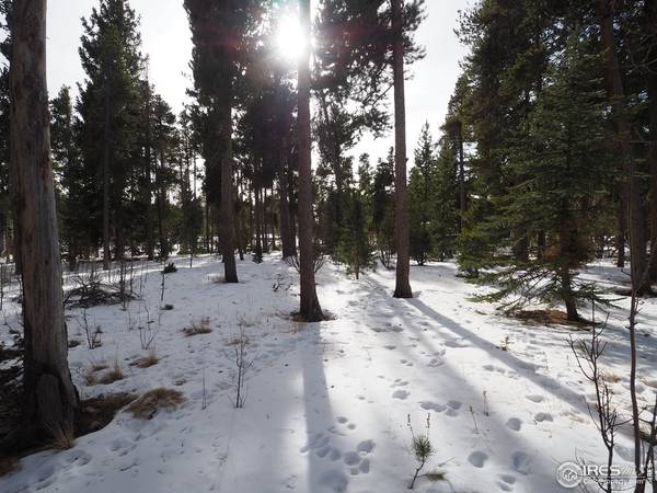 0 Long Trail, Black Hawk, CO 80422