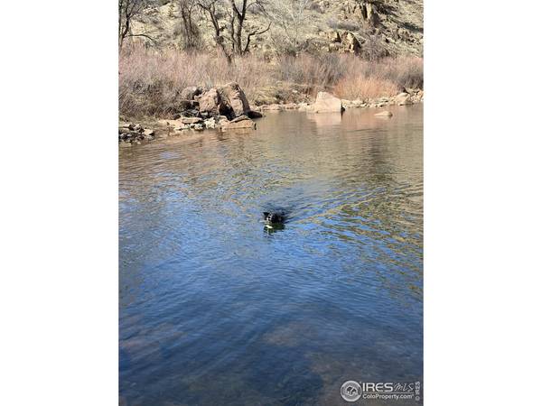 0 Longmont Dam #1, Lyons, CO 80540
