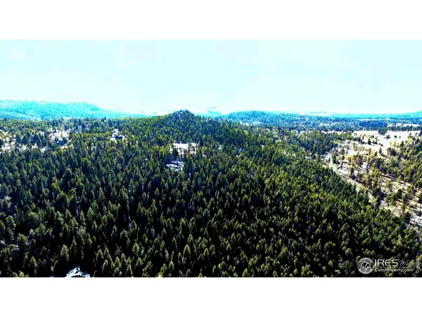 0 Snowy, Conifer, CO 80433