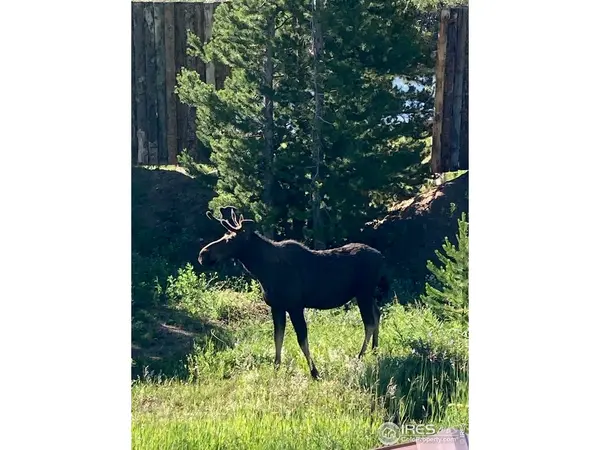 10658 US Highway 34, Grand Lake, CO 80447