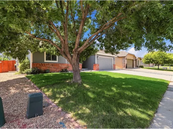 96 W Forest, Milliken, CO 80543