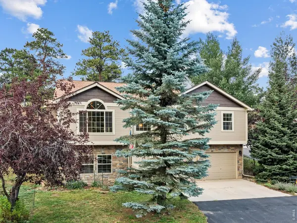 1635 Brook, Estes Park, CO 80517