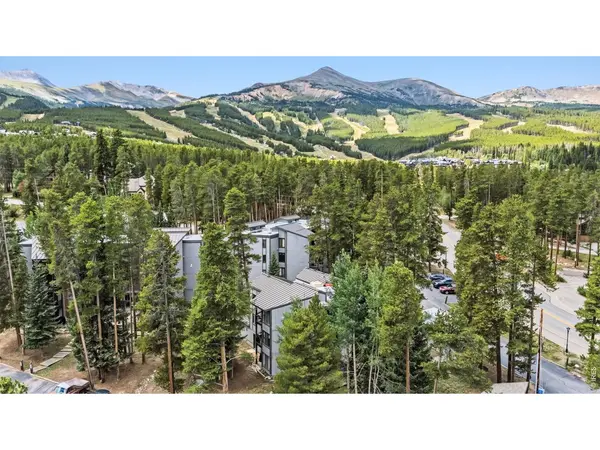 1155 Ski Hill #H-117, Breckenridge, CO 80424