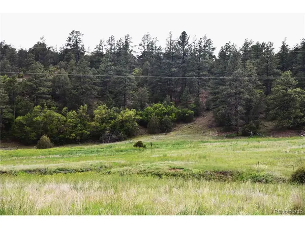 Spanish Highlands Filing 4 Lot 210, 211, & 212, Boncarbo, CO 81024