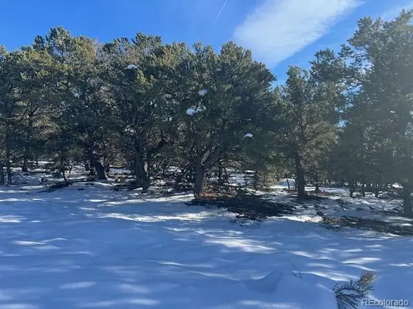 3952 Cheerful, Crestone, CO 81131