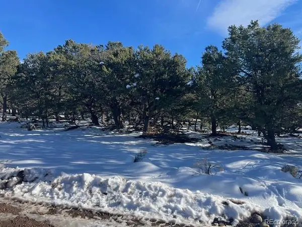 3952 Cheerful, Crestone, CO 81131