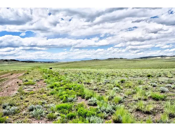 1238 Chicha, Hartsel, CO 80449