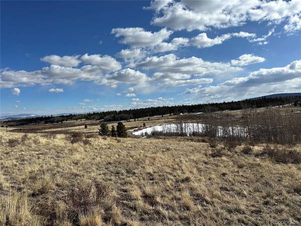 Foxtail, Fairplay, CO 80440