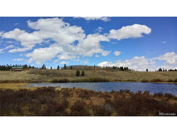 Foxtail, Fairplay, CO 80440