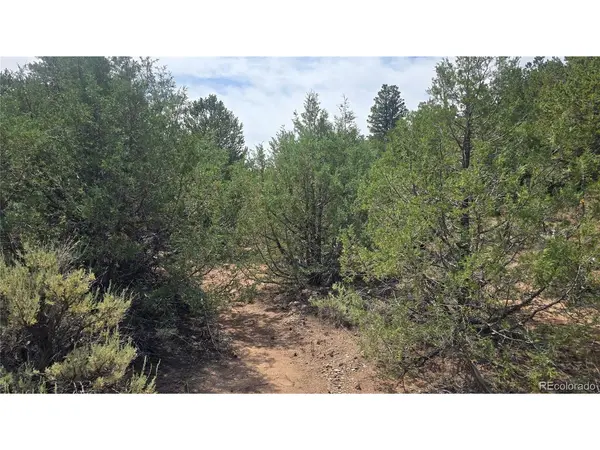 7892 Tiernan, Fort Garland, CO 81133