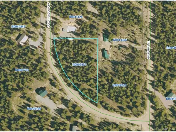 126 Gold Trail Cutoff, Fairplay, CO 80440