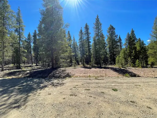 251 Virginia, Leadville, CO 80461