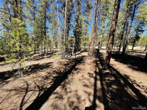 251 Virginia, Leadville, CO 80461