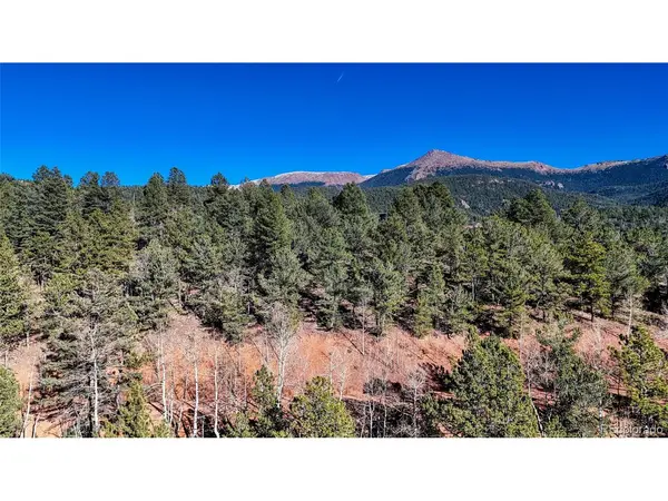 80 Beaver Pond, Divide, CO 80814