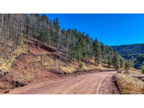 80 Beaver Pond, Divide, CO 80814