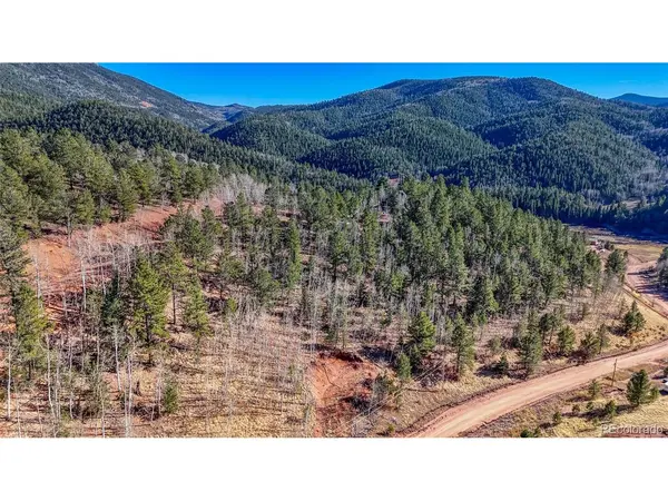 80 Beaver Pond, Divide, CO 80814