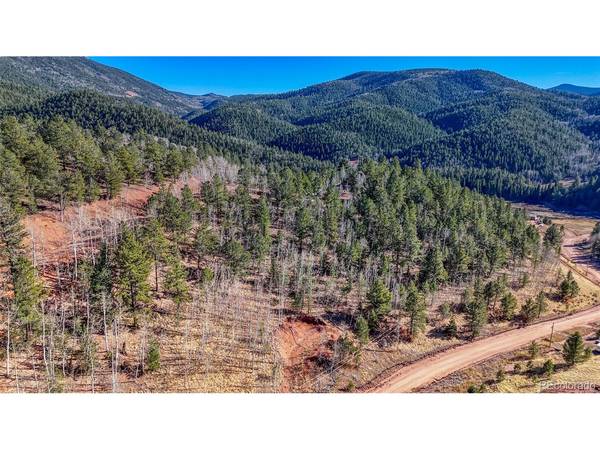 80 Beaver Pond, Divide, CO 80814