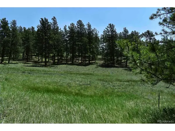 0 6th, Guffey, CO 80820