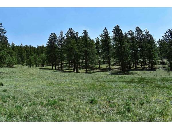 0 6th, Guffey, CO 80820