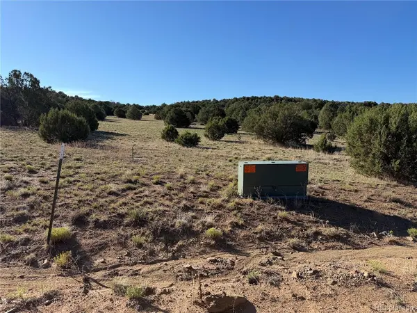 141 River Ridge Ranch, Walsenburg, CO 81089