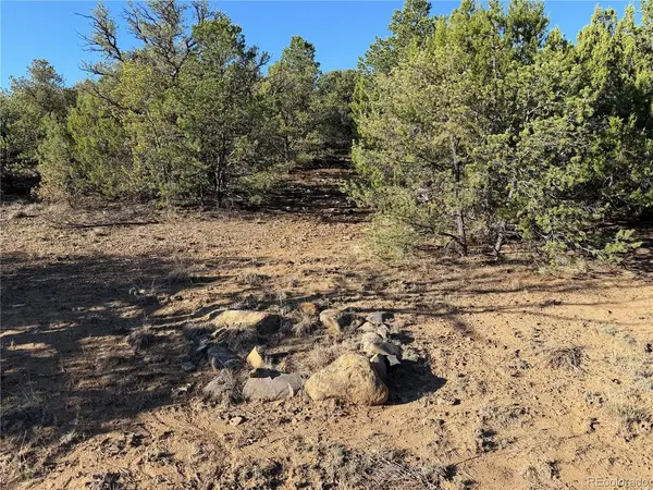 141 River Ridge Ranch, Walsenburg, CO 81089