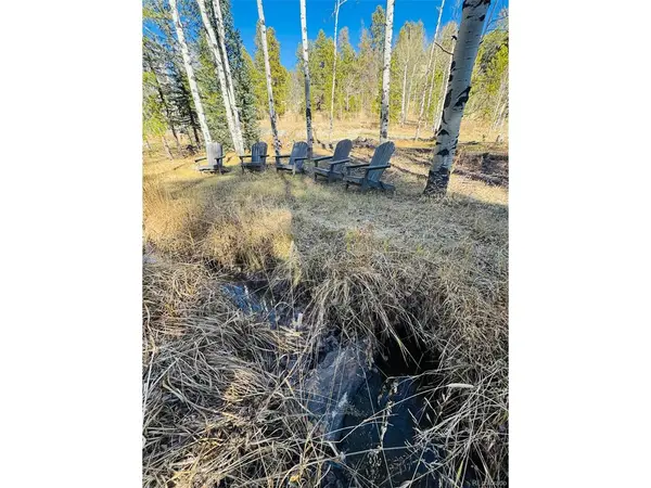 216620 Indian Springs, Conifer, CO 80433