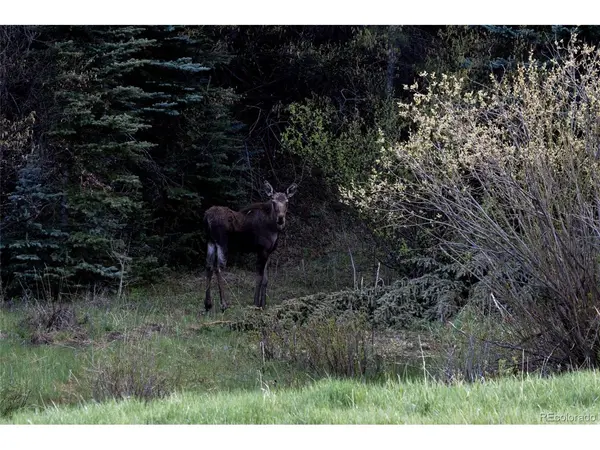 Address not disclosed, Evergreen, CO 80439