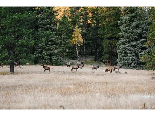 Address not disclosed, Evergreen, CO 80439