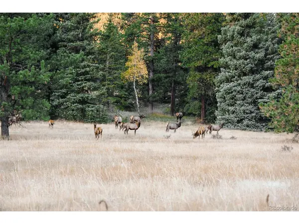 Address not disclosed, Evergreen, CO 80439