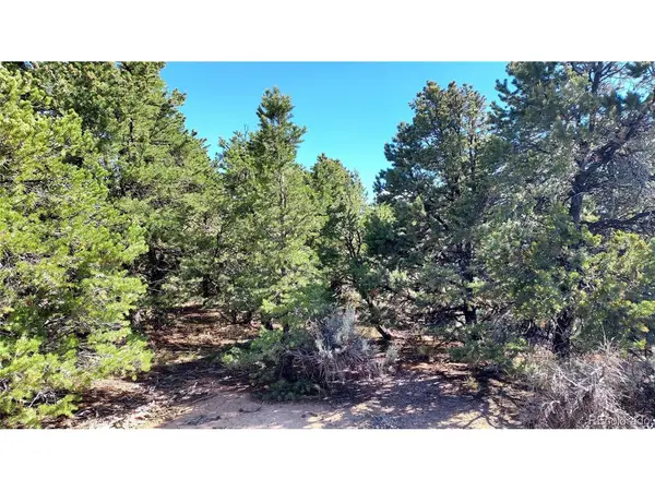 Stevenson, San Luis, CO 81152