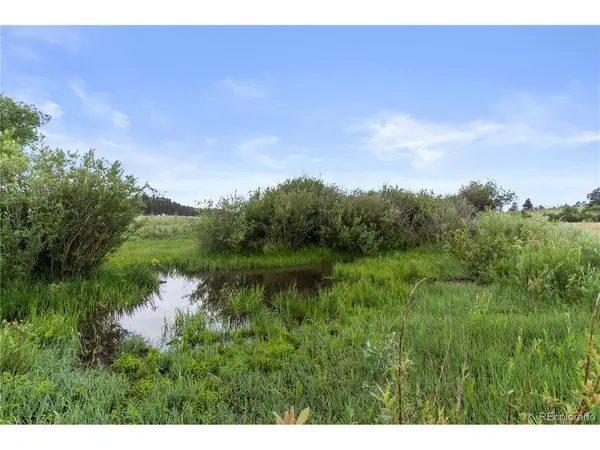 E Cherry Creek, Larkspur, CO 80118