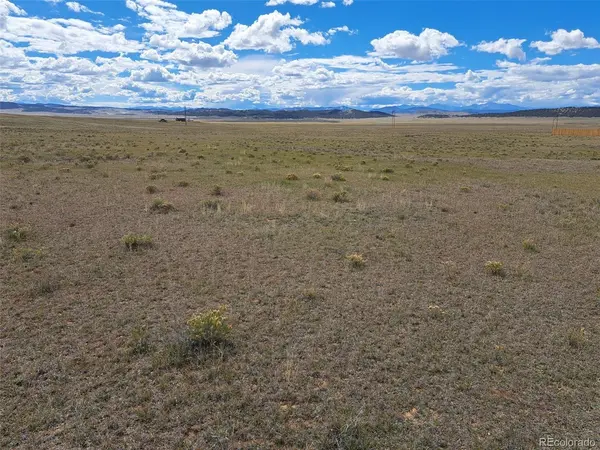 1294 Clear Creek, Hartsel, CO 80449