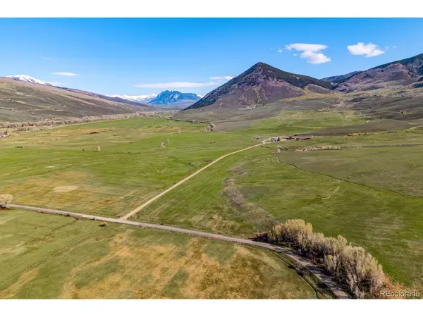 623 County Road 813, Almont, CO 81210