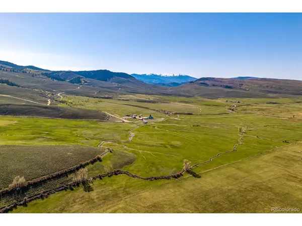 623 County Road 813, Almont, CO 81210