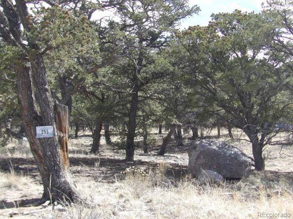 255 Baca Grant, Crestone, CO 81131