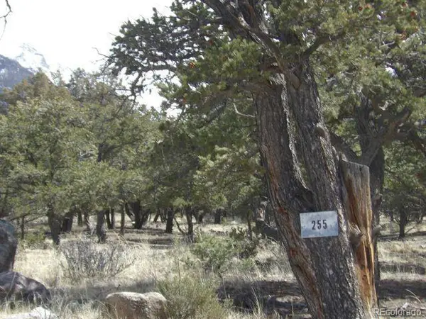 255 Baca Grant, Crestone, CO 81131