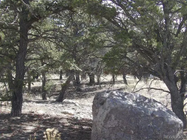 255 Baca Grant, Crestone, CO 81131