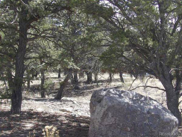255 Baca Grant, Crestone, CO 81131