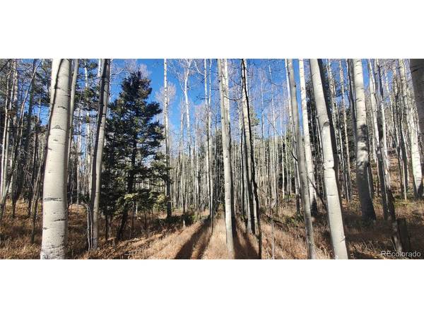 6060 Forbes, San Luis, CO 81152