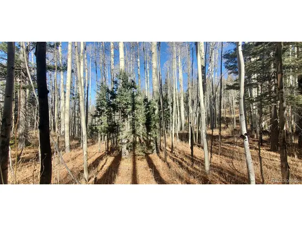 6060 Forbes, San Luis, CO 81152
